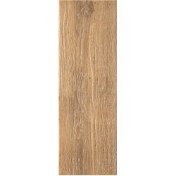 Ceramika Gres Alberon ALR 05 umbra 20 x 60 cm