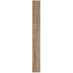 DOMINO soklík Walnut Brown STR 59,8 x 7 cm