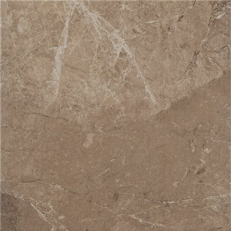 PARADYZ Track Brown 30 x 30 cm