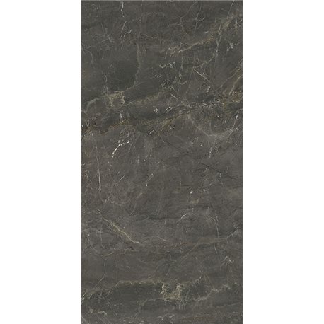 PARADYZ Wonderstone Grey Gres rektifikovaný Poler 59,8 x 119,8 cm