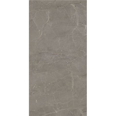 PARADYZ Wonderstone Light Grey Gres rektifikovaný Poler 59,8 x 119,8 cm
