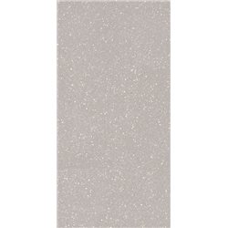 PARADYZ Macroside Silver Gres rektifikovaný matný 59,8 x 119,8 cm