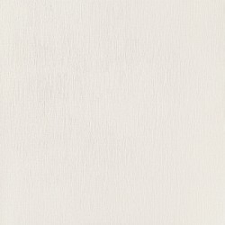 Domino Velo bianco 59,8 x 59,8 cm