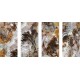 Ceramstic Granderoca Pintore grafika vzory