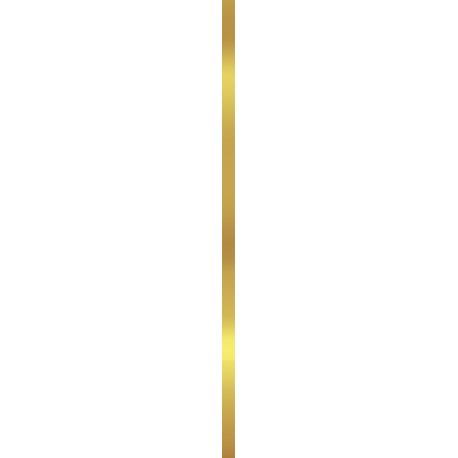Ceramika Bianca Super gold listela 1 x 90 cm