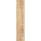 Cerrad Sentimental Wood Beige dlažba matná 19,3 x 120,2 cm