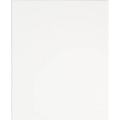 Domino Biela White obklad lesklý 20 x 25 cm