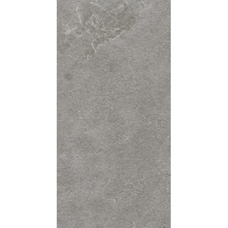PARADYZ AUTHORITY Grey matná dlažba rektifikovaná 59,5 x 119,5 x 2 cm