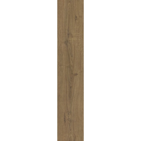 Stargres Yosemite Brown SGR58 dlažba matná rektifikovaná 20 x 120 cm