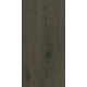 Domino Pietra Aurea Wood obklad matný 30,8 x 60,8 cm