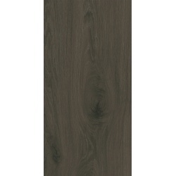 Domino Pietra Aurea Wood obklad matný 30,8 x 60,8 cm