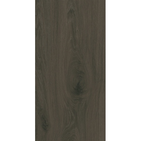 Domino Pietra Aurea Wood obklad matný 30,8 x 60,8 cm
