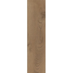Zoya Ceramica Caro Brown matná dlažba rektifikovaná 20 x 120 cm